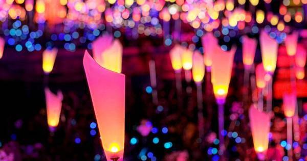 色の日(1月6日)に「＃推し活ひらパー」を新提案 “推しカラーであふれる遊園地” ひらかたパークがあなたの推し活を応援します！