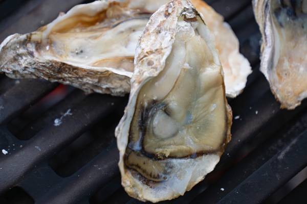 【BBQ＆Co】明石市大蔵海岸のBBQ場「ZAZAZA」が、牡蠣の食べ放題イベントを特別料金で開催！牡蠣は本場の兵庫県相生産をご用意！