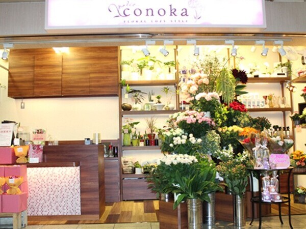 【京都】桂高校オリジナル プリムラ・ポリアンサの限定販売開始