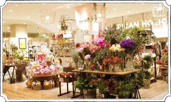 【京都】桂高校オリジナル プリムラ・ポリアンサの限定販売開始