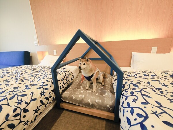 【金目鯛づくし】西伊豆・土肥温泉の愛犬宿がご当地グルメプラン販売｜2025年7月～9月30日