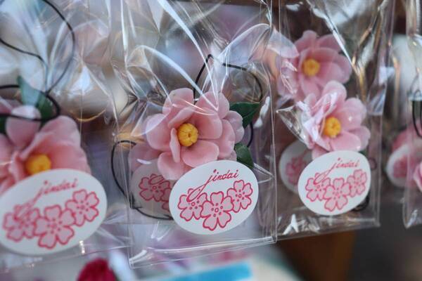 神代植物公園「春の催し～東風吹(こちふ)かば 春を愉しむ～」開催