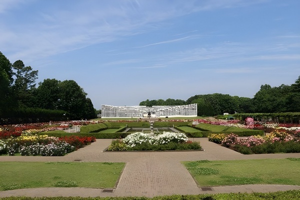 神代植物公園「春の催し～東風吹(こちふ)かば 春を愉しむ～」開催