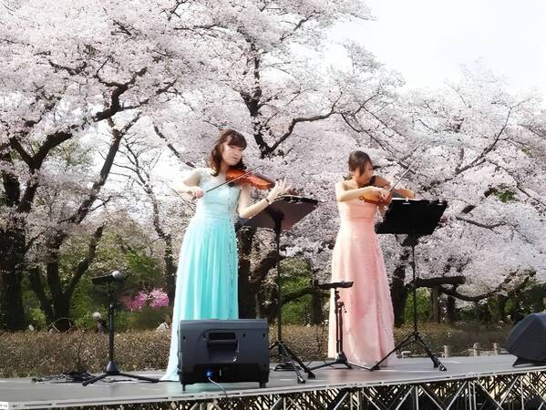 神代植物公園「春の催し～東風吹(こちふ)かば 春を愉しむ～」開催