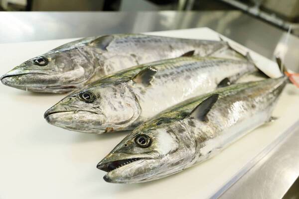 浦サワラの藁焼き＆牡蠣食べ放題の特別価格＆特製味噌スープの無料振る舞い〜明石・大蔵海岸の「ZAZAZA」で2月23日に一日限りのイベント開催！