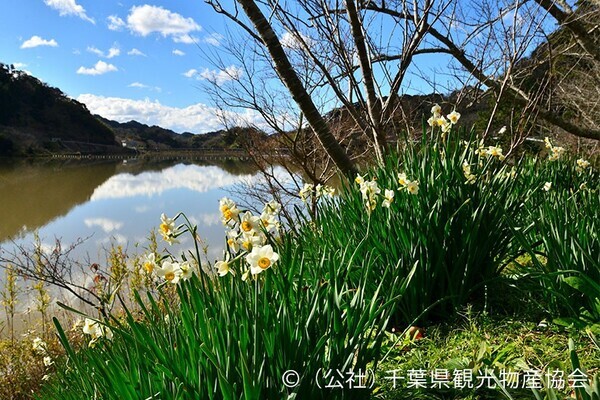 ひと足早い春の訪れを満喫！ 「冬〜早春の花だより」特集ページを公開