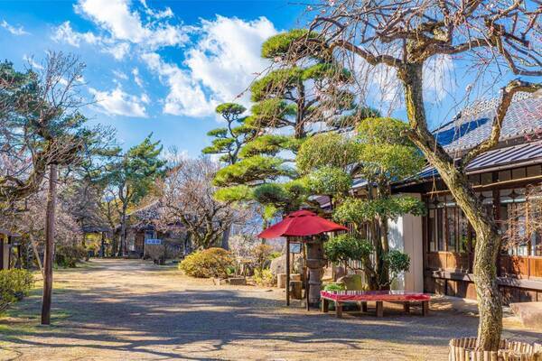 ひと足早い春の訪れを満喫！ 「冬〜早春の花だより」特集ページを公開