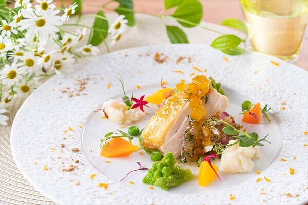 ひと足早い春の訪れを満喫！ 「冬〜早春の花だより」特集ページを公開