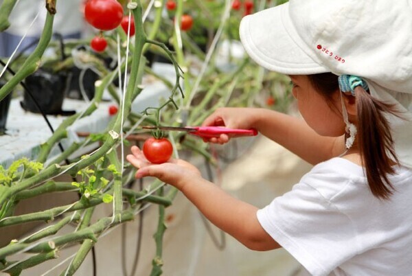 入園・入学準備の時短アイテム「ぴたプリ」シリーズにワンポイントイラスト入りが登場