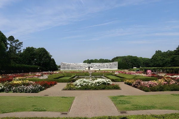 神代植物公園「秋の大温室夜間公開」を開催！ （９月14日・15日）