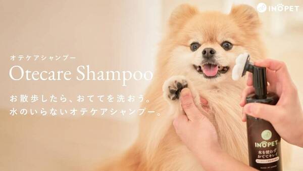 【INOPET】日本発のペットブランド「INOPET」が『大日本市』に初出展！ペットと飼い主のための新しいライフスタイルを提案