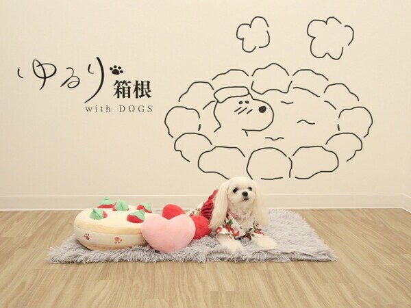「待て」選手権開催！箱根・強羅の愛犬と泊まれる温泉旅館にて 館内ドッグイベントがスタート｜2025年2月～