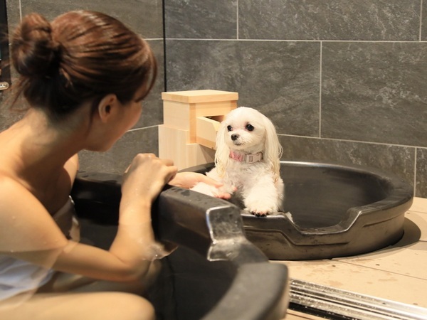 「待て」選手権開催！箱根・強羅の愛犬と泊まれる温泉旅館にて 館内ドッグイベントがスタート｜2025年2月～