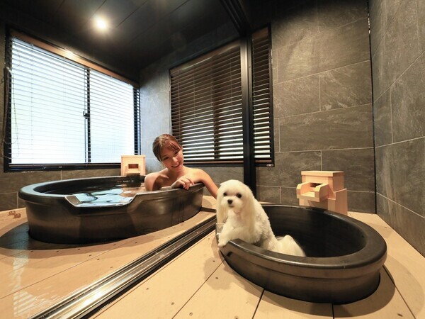 「待て」選手権開催！箱根・強羅の愛犬と泊まれる温泉旅館にて 館内ドッグイベントがスタート｜2025年2月～