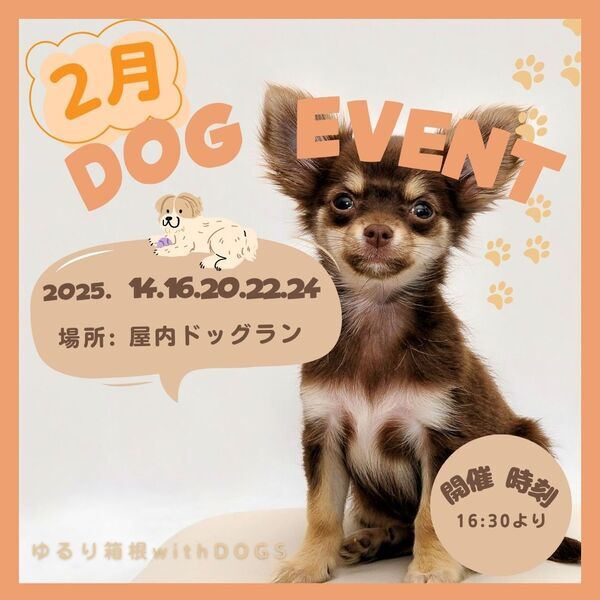 「待て」選手権開催！箱根・強羅の愛犬と泊まれる温泉旅館にて 館内ドッグイベントがスタート｜2025年2月～