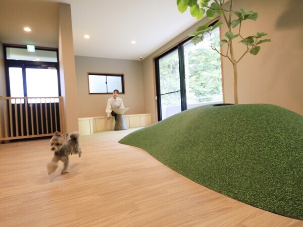 「待て」選手権開催！箱根・強羅の愛犬と泊まれる温泉旅館にて 館内ドッグイベントがスタート｜2025年2月～