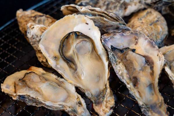 1日限りの贅沢体験！明石・大蔵海岸ZAZAZAでズワイガニのガンガン焼きを限定販売＆相生産牡蠣の食べ放題を特別価格で提供