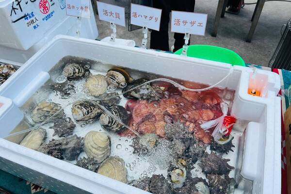 1日限りの贅沢体験！明石・大蔵海岸ZAZAZAでズワイガニのガンガン焼きを限定販売＆相生産牡蠣の食べ放題を特別価格で提供