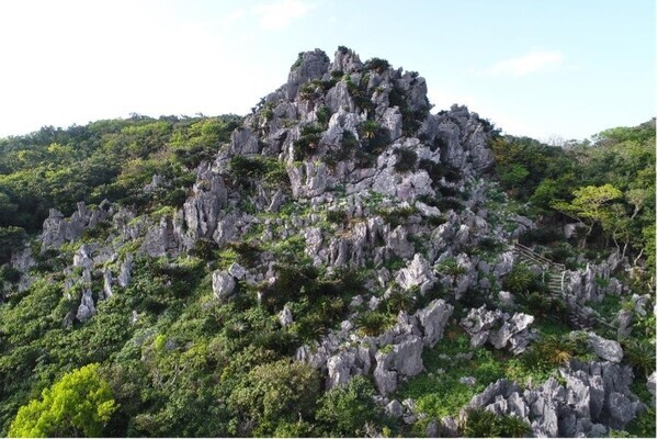 「おでかけ」おすすめ情報を届けている「駅探おでかけラボ」にて、沖縄本島最北端・国頭村の魅力を徹底解説する記事を公開しました。
