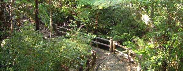 「おでかけ」おすすめ情報を届けている「駅探おでかけラボ」にて、沖縄本島最北端・国頭村の魅力を徹底解説する記事を公開しました。