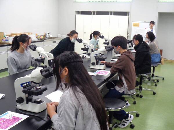 夏休み企画！中学生が「がん」を科学する！ひらめき☆ときめきサイエンスin 森ノ宮医療大学を開催！