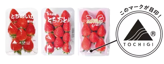 LINEでカンタン応募、豪華景品が当たる「栃木のいちごで愛を伝えようキャンペーン」を実施！
