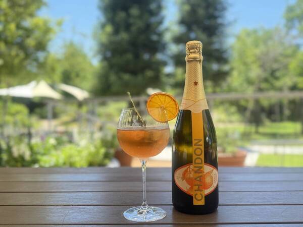 緑豊かな庭園で憩いの“ガーデンバー”を開催、大阪・舞洲の『The Day Osaka』8/1～9/30