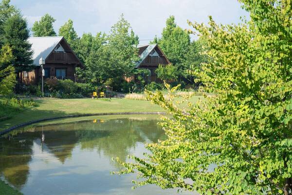 万博会場の対岸にあるホテル・ロッジ舞洲が、2025年4月より送迎バスサービスを開始！ ～ホテルを拠点に、万博会場とユニバーサルシティ駅を結ぶ快適アクセス～