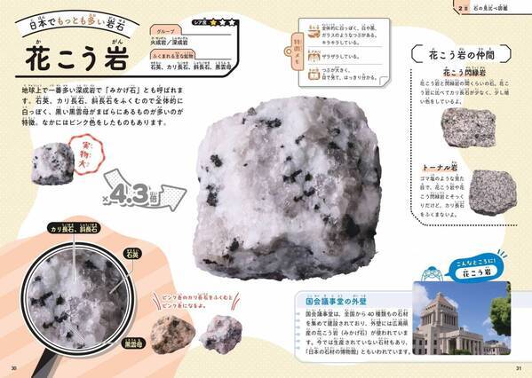 子どもから大人まで夢中になる！道ばたの石のふしぎを解き明かす『石のひみつ図鑑』7月22日発売