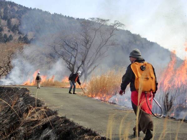 【細野高原  山焼き体感会2025】～伊豆の大地を体感する山焼きツアーを開催～