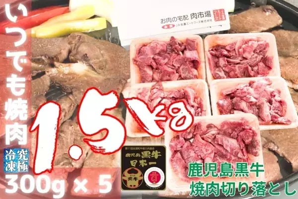 志田音々さんがＪＡタウンのお肉の宅配肉市場の１２周年をお祝い！ お得な限定商品が盛りだくさんのキャンペーン開催中！