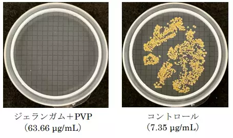 【新発見】 涙で流されにくく、べたつきを抑えた抗菌点眼剤技術