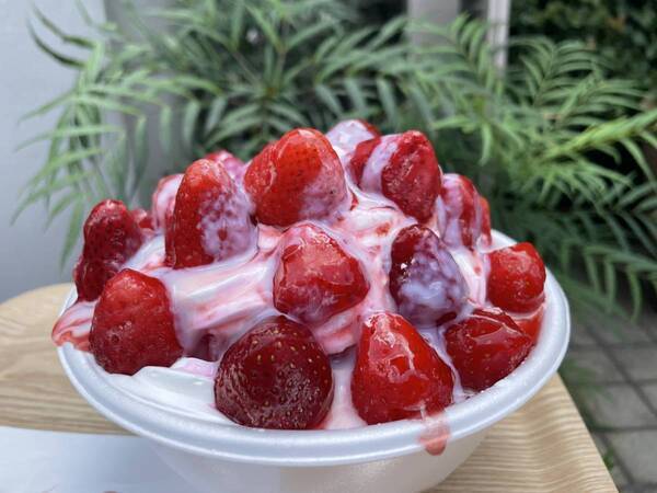 杉並・浜田山【水も氷も使わない】牛乳100％の新感覚かき氷専門店「SunSea（サンシー）」がオープン