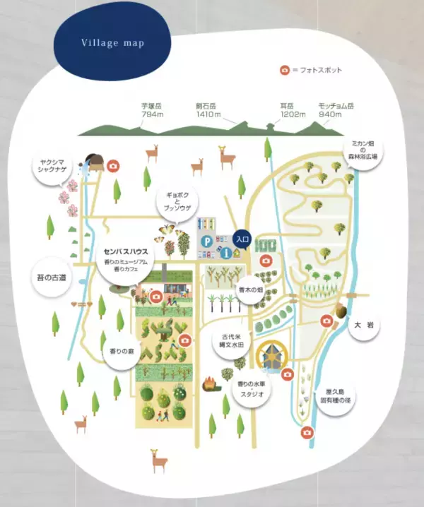 屋久島おおぞら高等学校 20周年記念  交響農園 屋久島センバスビレッジ 植樹セレモニー開催のお知らせ_おおぞら高校