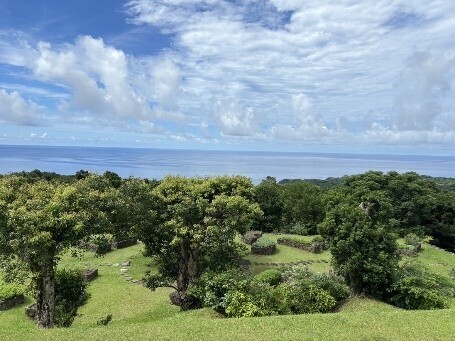 屋久島おおぞら高等学校 20周年記念  交響農園 屋久島センバスビレッジ 植樹セレモニー開催のお知らせ_おおぞら高校