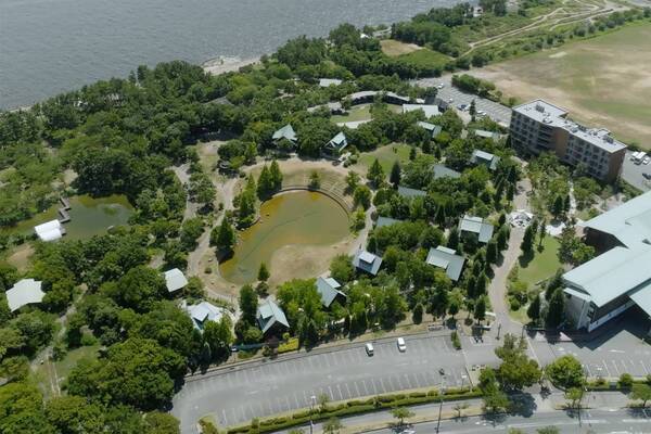 「清掃不要」選択の連泊お客様向けプレゼント内容を2月1日からリニューアル、大阪ベイエリアのホテル・ロッジ舞洲