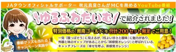 秋元真夏が神奈川県で幻の果実といわれる 新感覚オレンジ「湘南ゴールド」を収穫！
