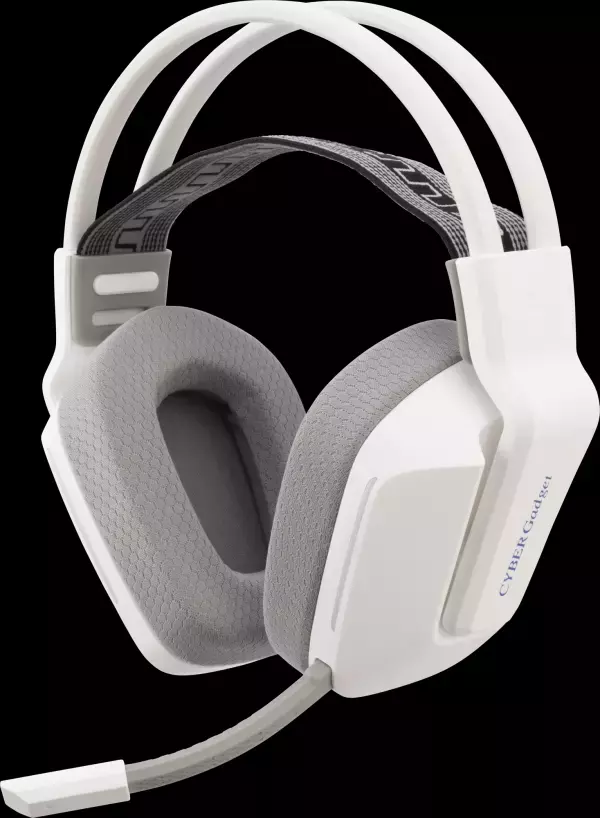 2端子対応の超低遅延2.4GHzレシーバーとオーディオケーブル接続で多数の機種に対応！軽量＆長時間再生可能なワイヤレスヘッドセット発売決定