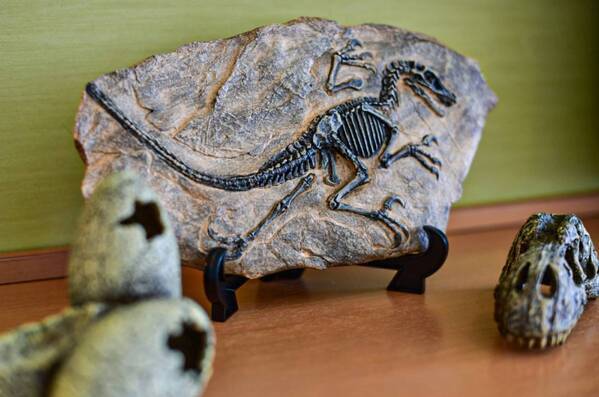 SPA＆HOTEL舞浜ユーラシア 「シュライヒコラボ」第5弾開催！