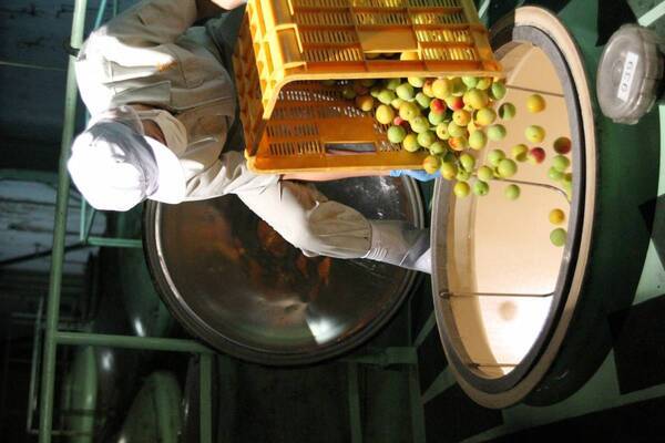 株式会社ハブ×ANAあきんど株式会社共同企画「地域の魅力発信プロジェクト 」和歌山梅酒フェア（WAKAYAMA UMESHU FAIR）を開始します