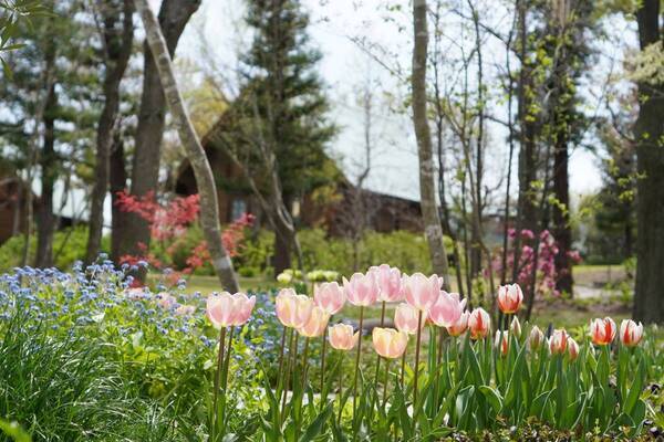 大阪ベイエリアの「ホテル・ロッジ舞洲」、名称を『The Day Osaka』へ改名 〜2025年4月1日、大阪の中心部からほど近く、自然と響き合う新たなステージへ〜