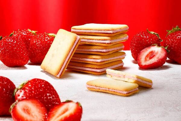 注目の店舗が続々出店！「博多エキナカ マイング」期間限定出店店舗のご案内