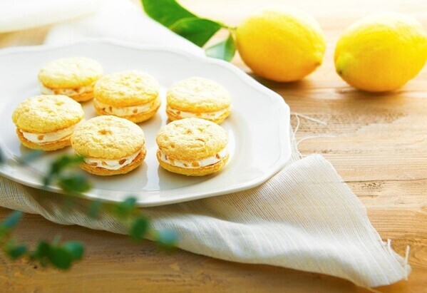 注目の店舗が続々出店！「博多エキナカ マイング」期間限定出店店舗のご案内