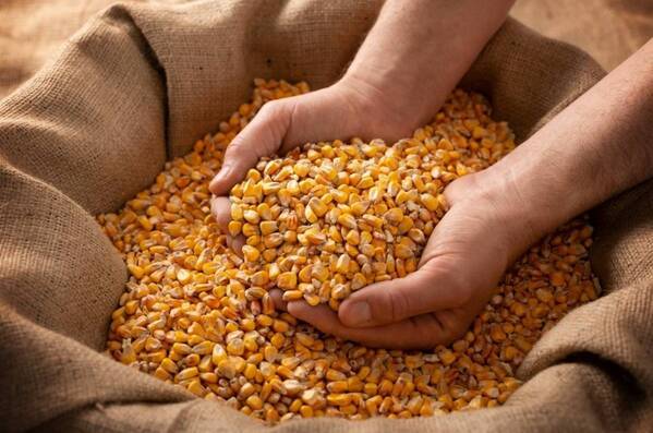 国産穀類100％飼料の安心安全な豚肉の魅力を発信～ホテルの料理長が生産者を訪ねる「一の坊ソト活（TM)」第20回開催～