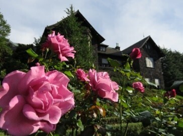 ＜色とりどりのバラが咲き誇る＞旧古河庭園「秋のバラフェスティバル」を10/11～11/7に開催