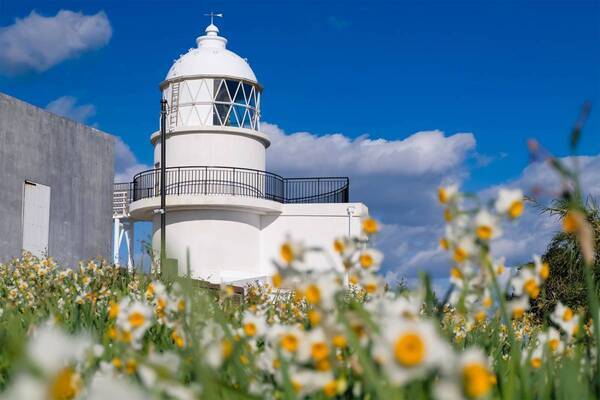 ひと足早い春の訪れを満喫！ 「冬〜早春の花だより」特集ページを公開