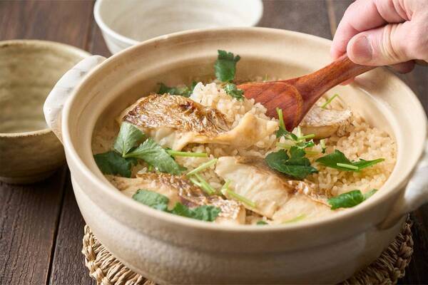 ひと足早い春の訪れを満喫！ 「冬〜早春の花だより」特集ページを公開