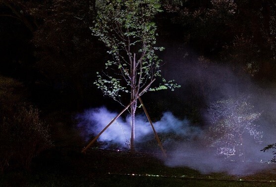 『春夜の六義園 夜間特別観賞』今年はしだれ桜の開花状況に合わせて７日間限定開催！