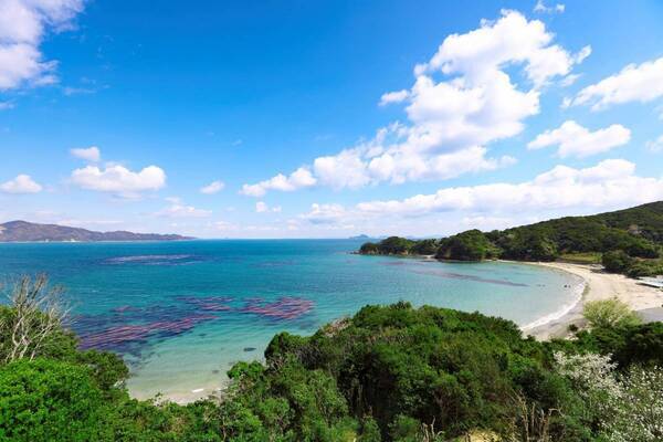 TAOYA志摩で楽しむ夏！ 「ランチバーベキュー」＆「海の生きもの探しゲーム」