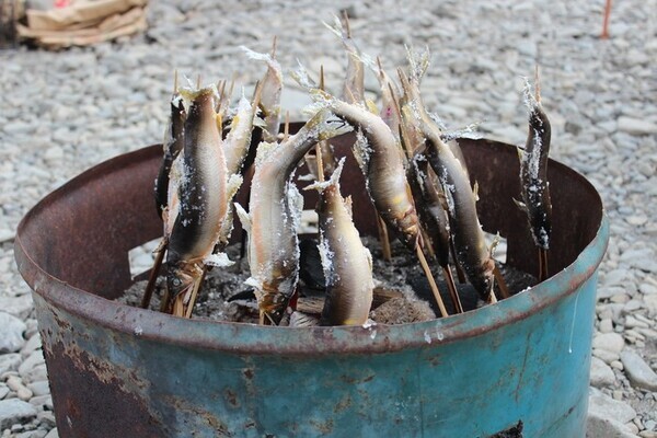 【高知県四万十町】四万十川の恵みを満喫！「四万十大正あゆまつり」今年も開催します
